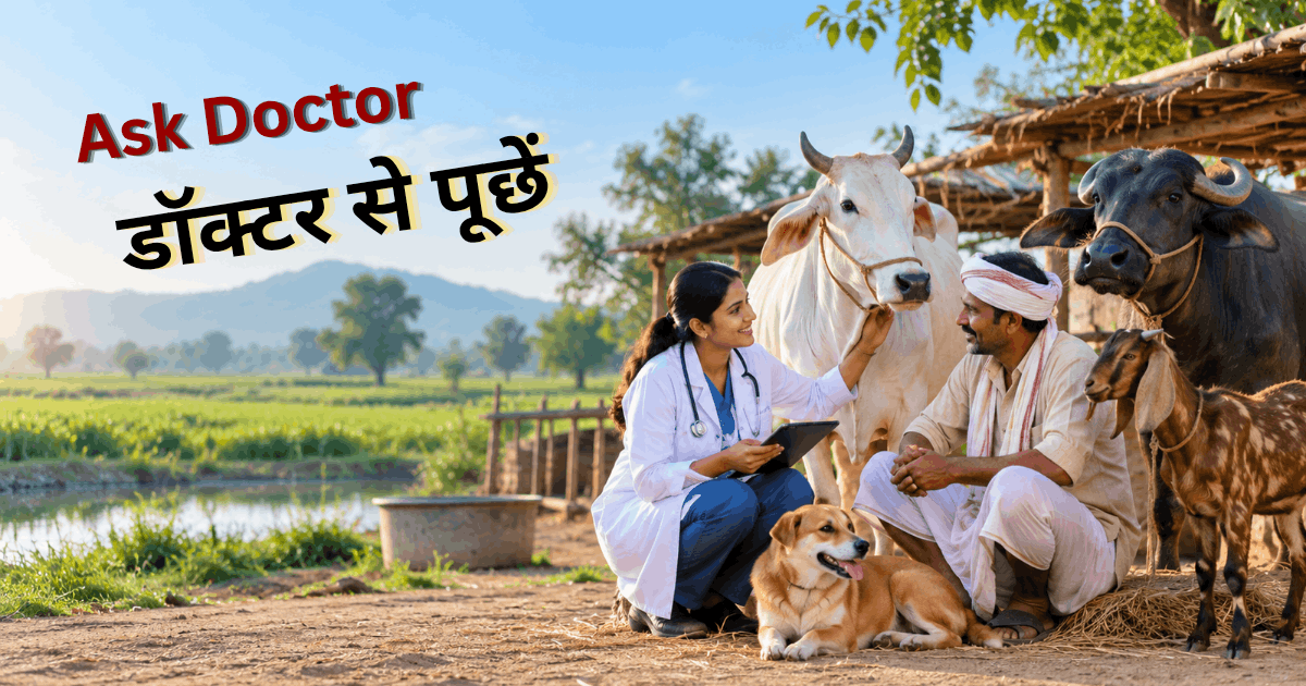 पशुपालन सहायता दृश्य